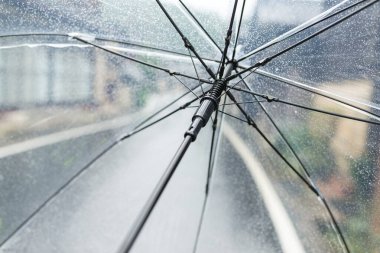 Person holding transparent umbrella in rainy city street