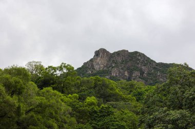 Hong Kong aslan dağı.