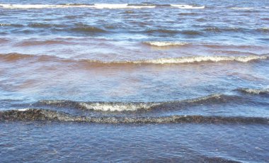 Dalgalar rüzgarlı havalarda kıyıya yakın ve Baltık Denizi üzerinde