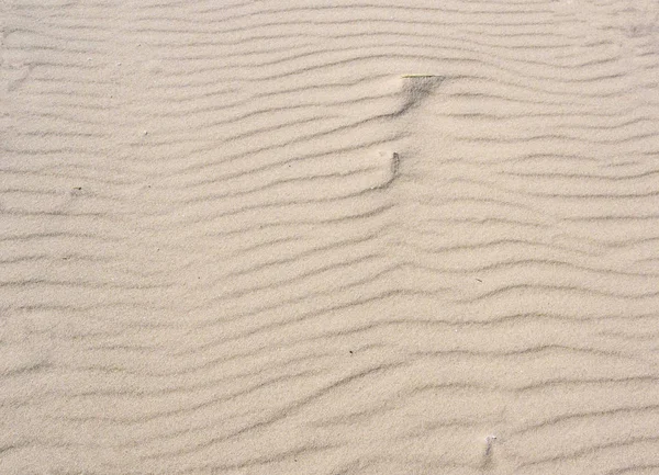Texture Sand Wave Mode Coast Sea — Stock Photo, Image