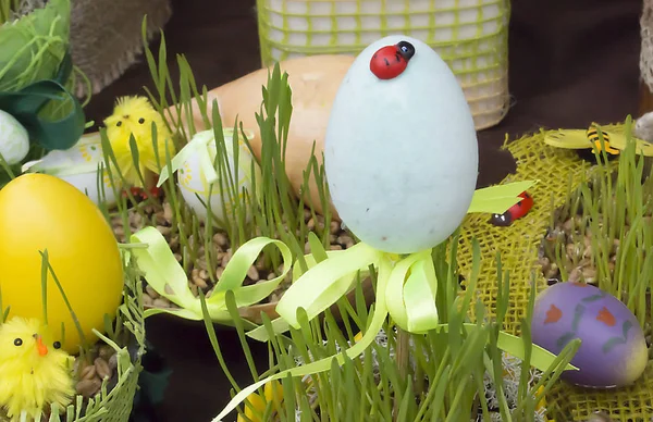 Easter. Chicken, painted eggs, beetle-ladybug on egg. — Stock Photo, Image