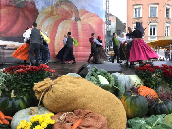 Harvest celebrations and folk dances in Riga — Stock Image Harvest celebrations and folk dances in Riga Royalty Free Stock Images