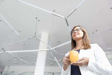 Ofiste dururken kahve bardağı tutan iş kadınının düşük açılı görünümü