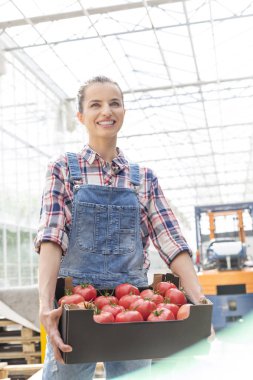 Forklift karşı sandık domates ile gülümseyen çiftçinin düşük açılı görünüş 