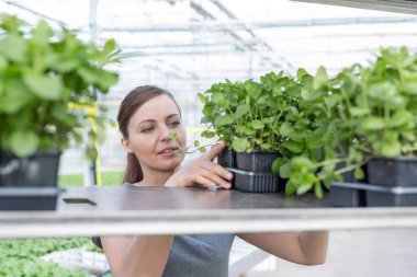 Güzel kadın botanikçi fidan bitki Kreş raf düzenleme