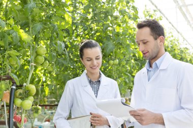 Sera bitki incelenirken Not defteri üzerinde tartışırken iş arkadaşları