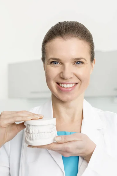 Retrato Dentista Sorridente Segurando Dentaduras Clínica — Fotografia de Stock