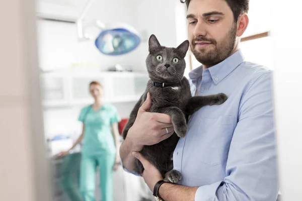 主人在兽医诊所携带俄罗斯蓝猫 — 图库照片