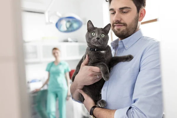 Propriétaire Portant Chat Bleu Russe Clinique Vétérinaire — Photo