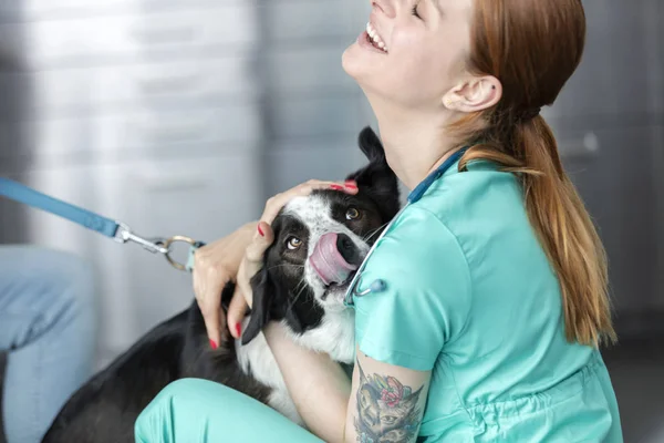 Sorridente Giovane Medico Veterinario Abbracciare Cane Clinica — Foto Stock