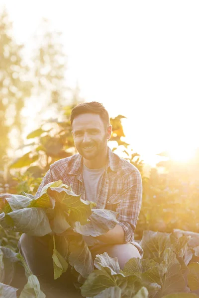 Portrait Smiling Man Harvesting Cabbage Farm — Stock Photo, Image