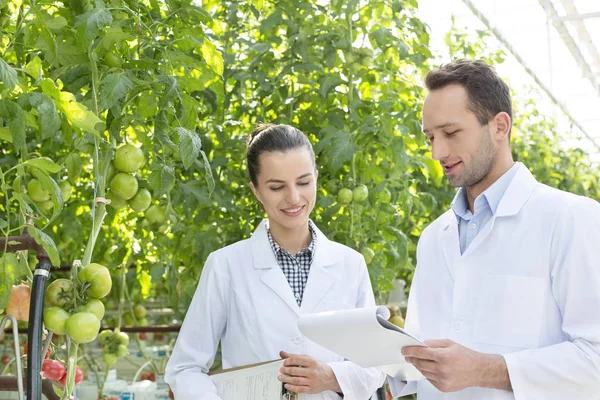 Collega Bespreken Kladblok Terwijl Het Bestuderen Van Planten Broeikasgassen — Stockfoto