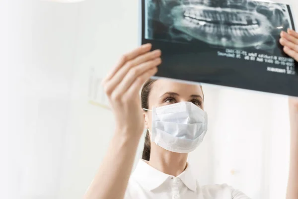 Female dentist wearing mask while examining x-ray at dental clinic