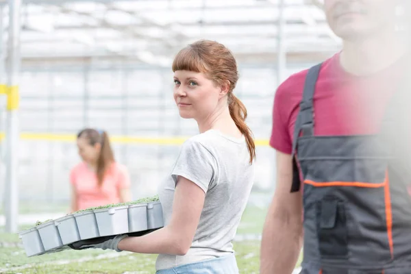 Confident Young Female Botanist Carrying Seedlings Coworker Greenhouse — Stock Photo, Image