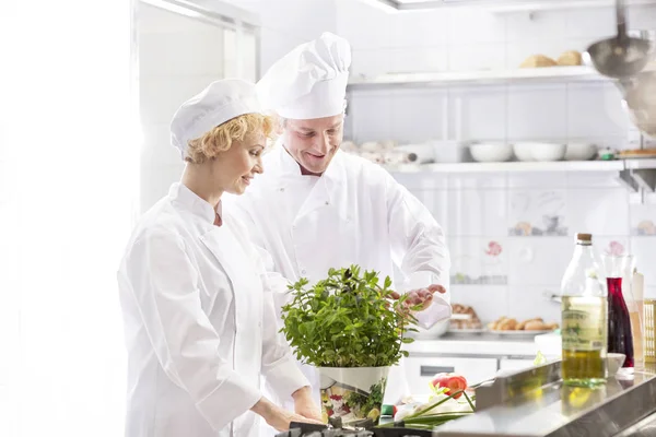Chefs Sorridentes Olhando Para Panela Hortelã Fresca Cozinha Restaurante — Fotografia de Stock