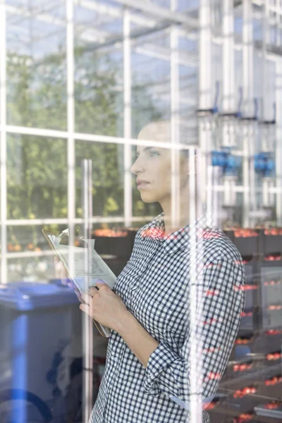 Mujer Contemplando Con Portapapeles Mirando Través Ventana Almacén — Foto de Stock