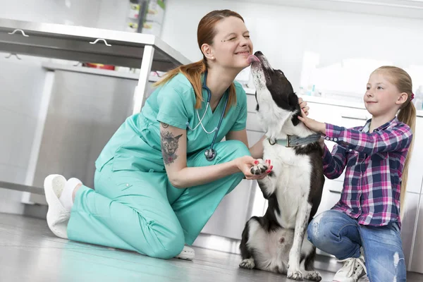Dog Licking Young Veterinary Doctor Girl Kneeling Clinic — Stock Photo, Image