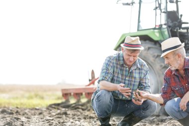 Çiftçilerin toprak çiftlik sahasının incelenirken iletişim