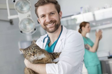 Veteriner kliniğinde dururken kedi taşıyan gülümseyen doktor portresi