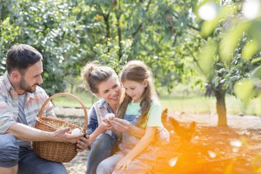 Çiftlikte kızı taze yumurta gösteren mutlu ebeveynler