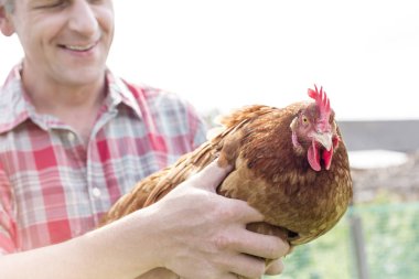 Çiftçi holding tavuk çiftliğinde gülümseyen midsection