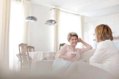 Evde kanepede oturan mutlu olgun arkadaşlar