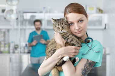 Veteriner kliniğinde iş arkadaşı karşı dururken kedi kucaklayan doktor portresi