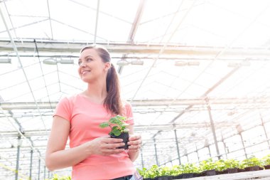 Gülümseyen güzel kadın botanikçi sera fide ile ayakta