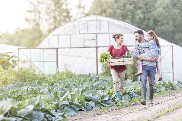 Smiling Family Vegetables Crate Walking Cabbages Farm — Stock Photo, Image
