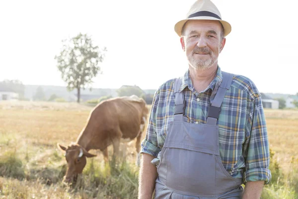 Portrait Senior Farmer Standing Cow Field Farm — Stock Photo, Image