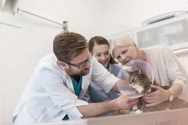 Dokter Meisje Kijken Naar Kat Tafel Veterinaire Kliniek — Stockfoto