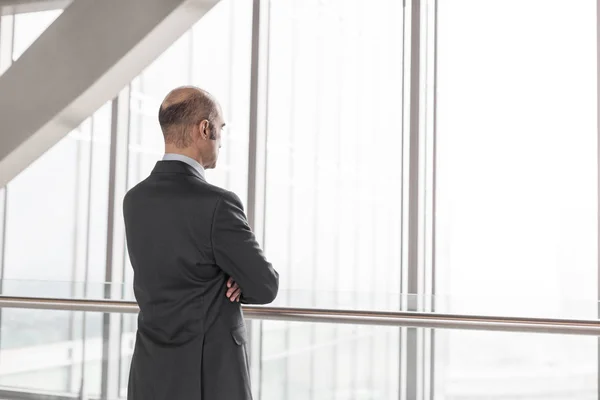現代のオフィスの窓から見る成熟したビジネスマンの背面図 — ストック写真