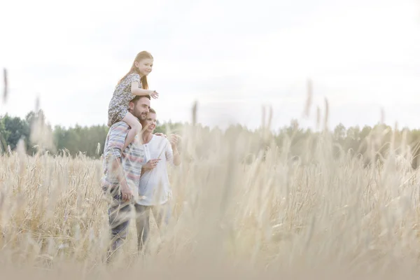 Otec Nosí Dceru Ramenou Pšeničné Farmě — Stock fotografie