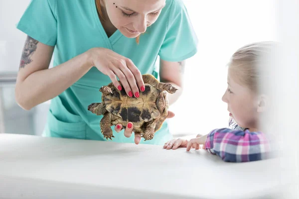 Ragazza Guardando Medico Esaminando Tartaruga Clinica Veterinaria — Foto Stock