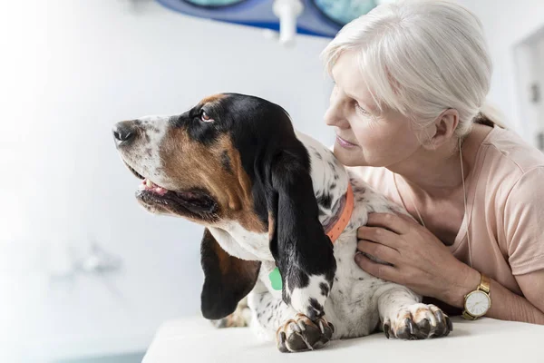 Close Van Senior Vrouw Met Hond Bed Veterinaire Kliniek — Stockfoto