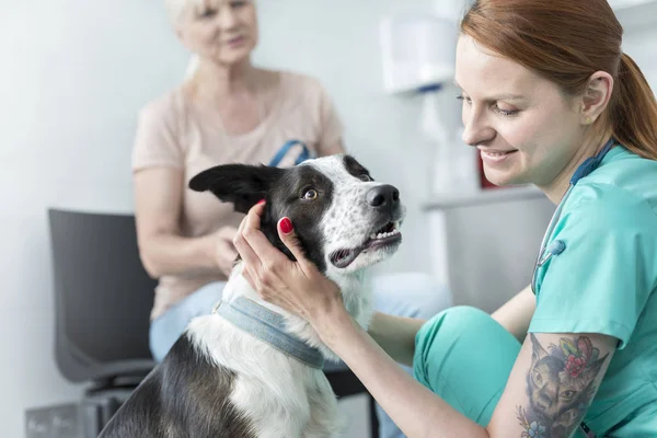 クリニックで犬をなでる若い獣医の笑顔 — ストック写真