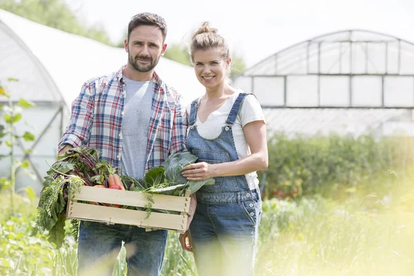 Portrait Smiling Couple Holding Vegetables Crate Farm — Stock Photo, Image