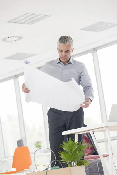 Mature Architect Looking Blueprint While Standing Desk New Office — Stock Photo, Image