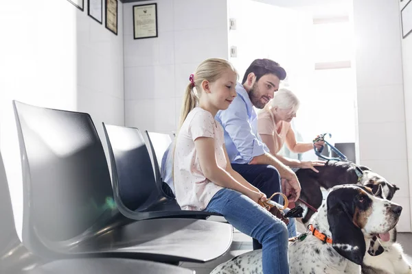 Pet owners waiting with dogs at veterinary clinic