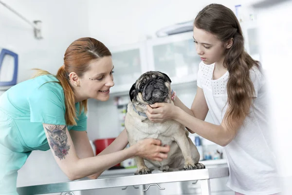 Joven Veterinario Médico Niña Acariciando Pug Mesa Hospital — Foto de Stock