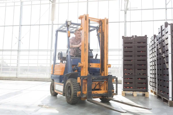 Senior Man Forklift Crates Distribution Storehouse — Stock Photo, Image