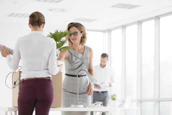 Geschäftsfrau Und Kollegin Stehen Mit Loge Schreibtisch Neuem Büro — Stockfoto