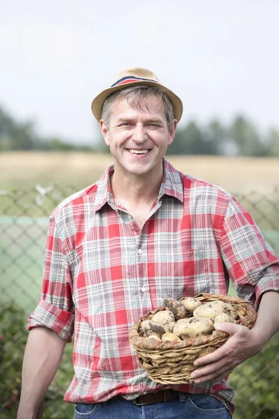 Retrato Agricultor Sorridente Carregando Batatas Orgânicas Cesto Fazenda — Fotografia de Stock