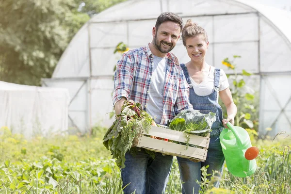 Porträtt Par Som Håller Grönsaker Lådan Med Vattning Kan Gården — Stockfoto