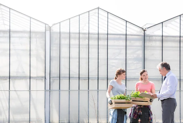 Mature Male Biochemist Discussing Female Coworkers Greenhouse — Stock Photo, Image