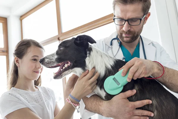 Arts Met Behulp Van Apparatuur Hond Door Meisje Bij Veterinaire — Stockfoto