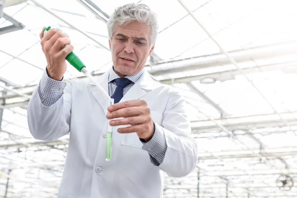 Erkek Biyokimyacı Kimyasal Bitki Kreş Pipet Ile Test Tüpü Içinde — Stok fotoğraf