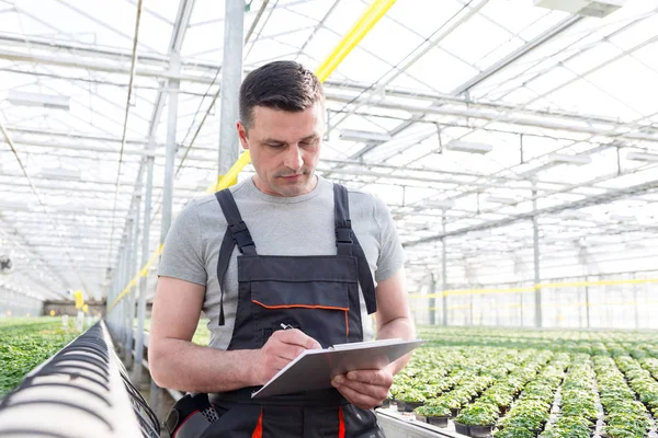 Male Botanist Writing Clipboard Amidst Herbs While Walking Greenhouse — Stock Photo, Image