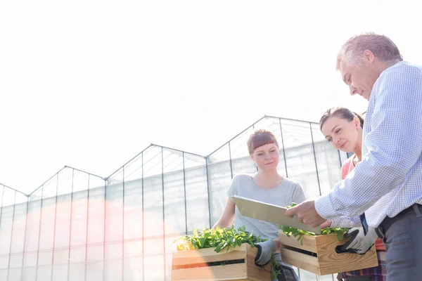 Bioquímica Masculina Madura Discutiendo Con Botánicas Femeninas Contra Cielo Despejado — Foto de Stock