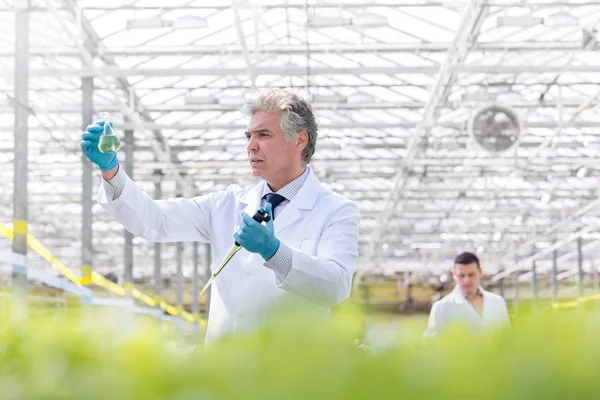 Självsäker Manliga Biokemist Undersöker Mottagarkärlet Håll Pipetten Växthus — Stockfoto